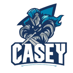 凯西骑士